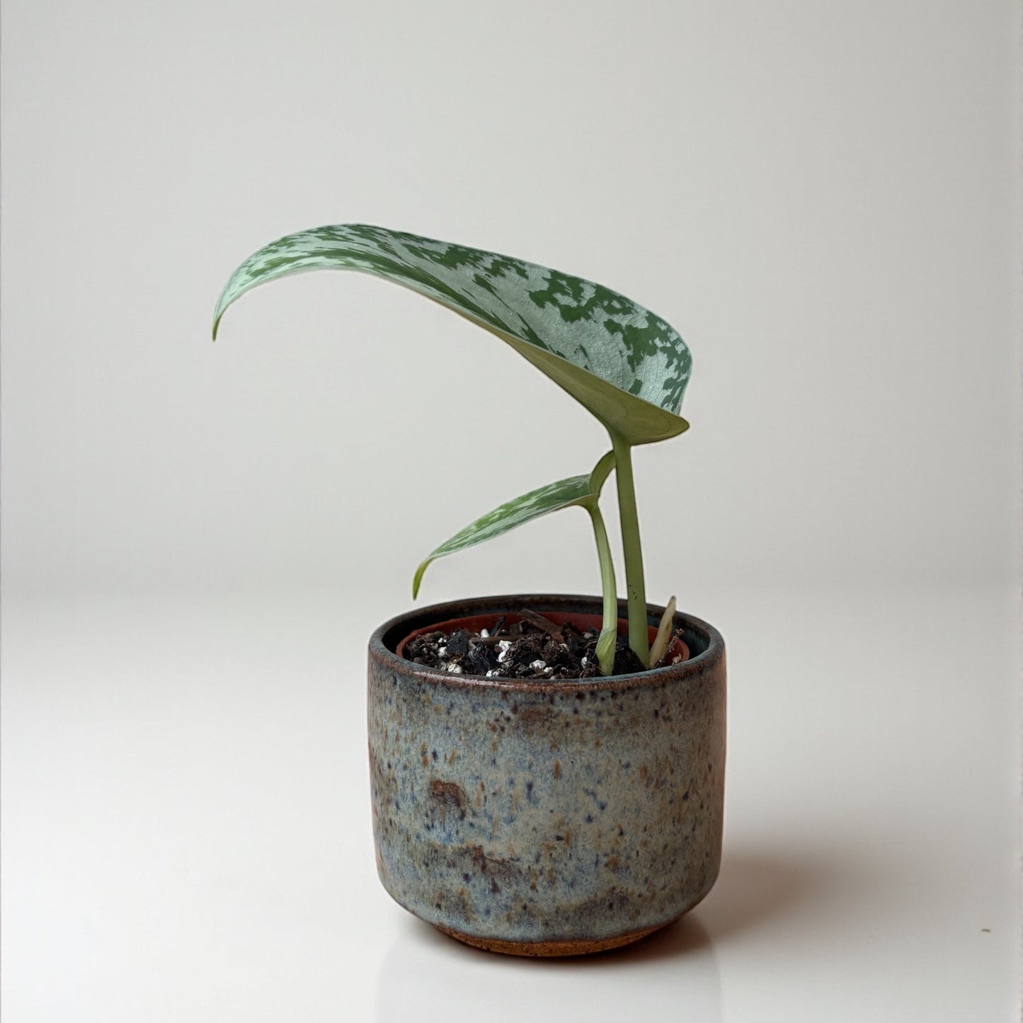 Mini Planters