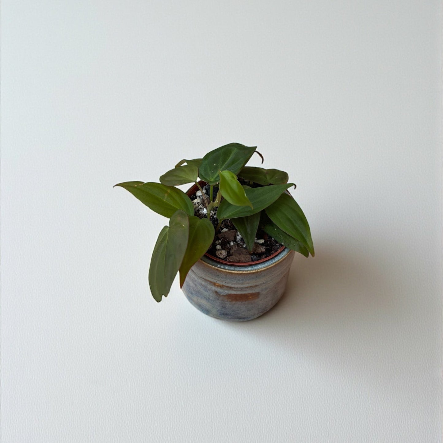 Mini Planters