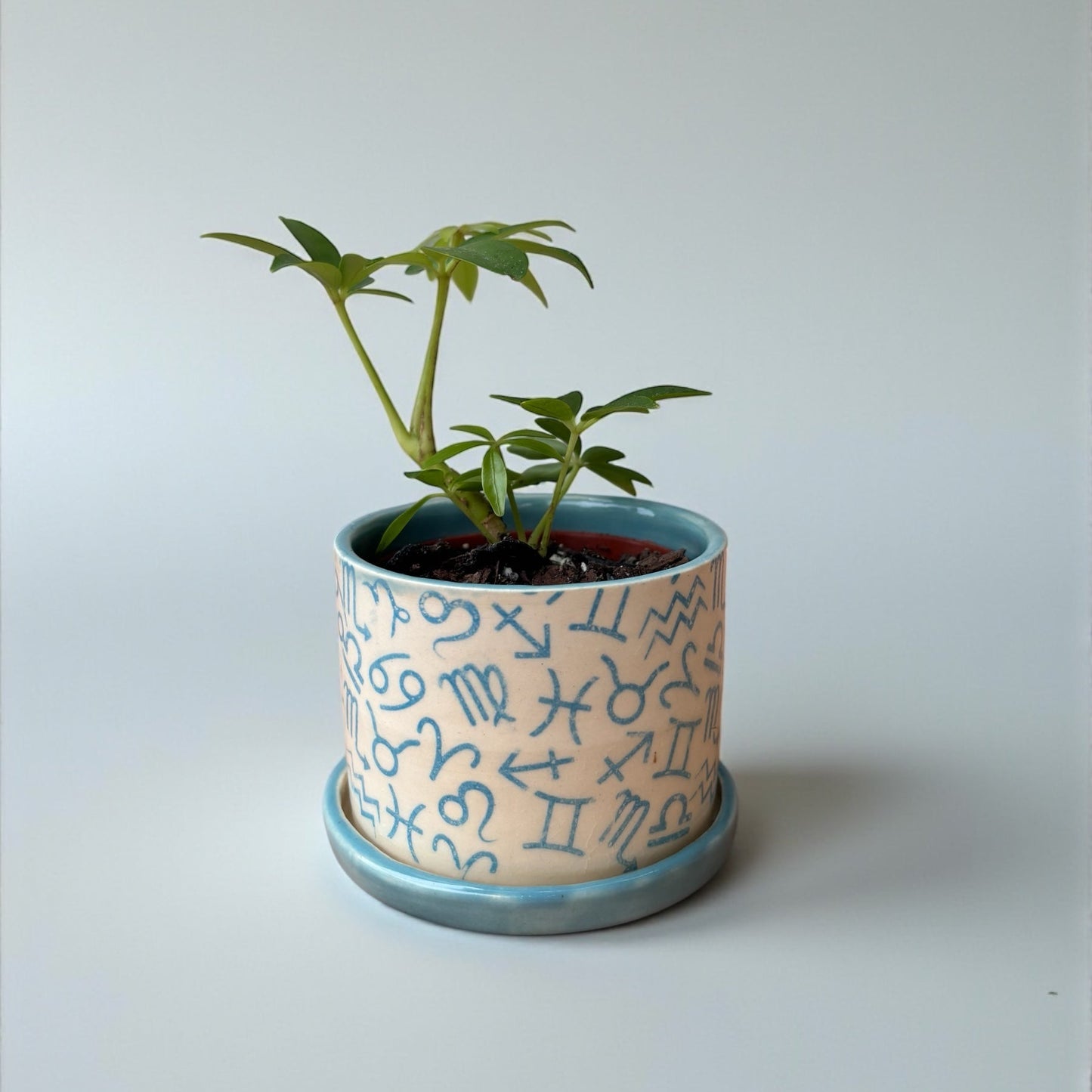 Mini Planters