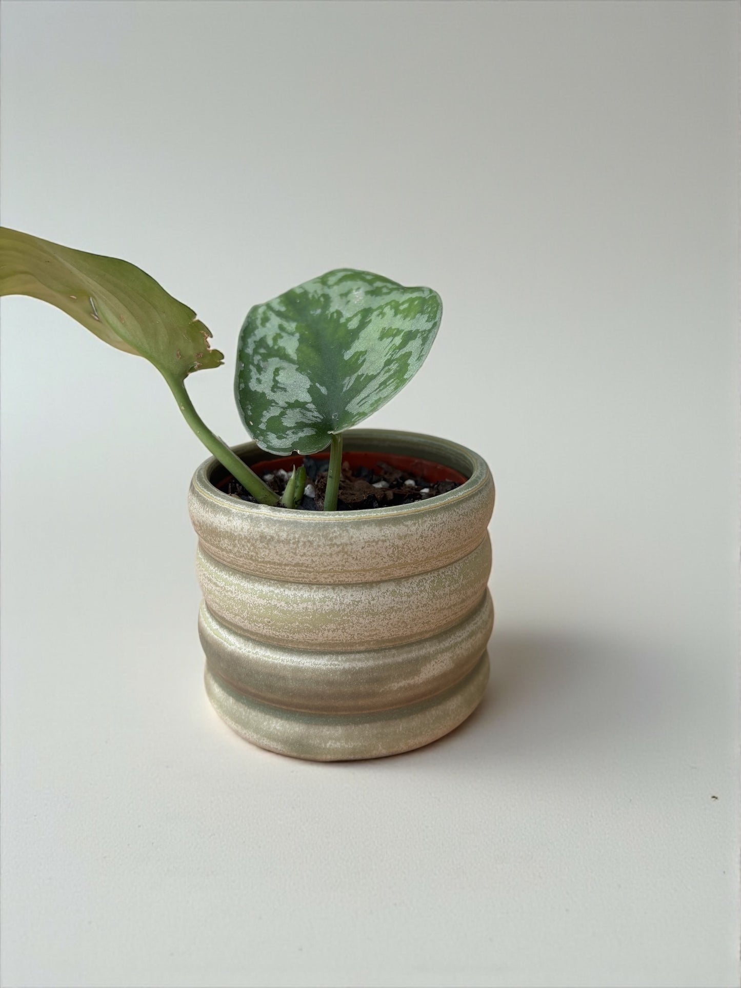 Mini Planters