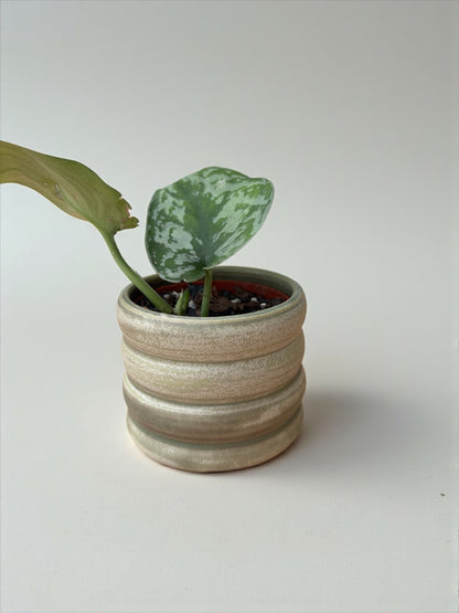 Mini Planters