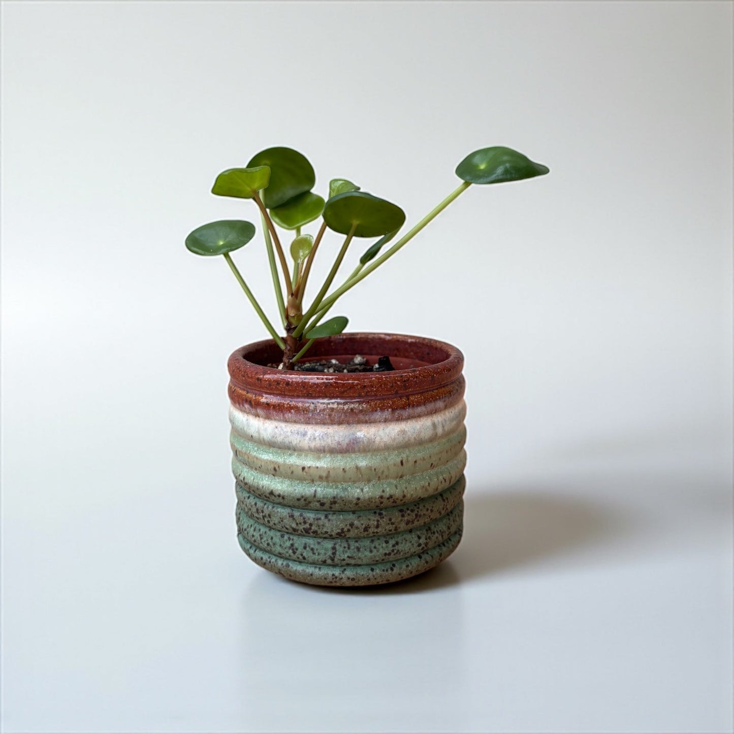 Mini Planters