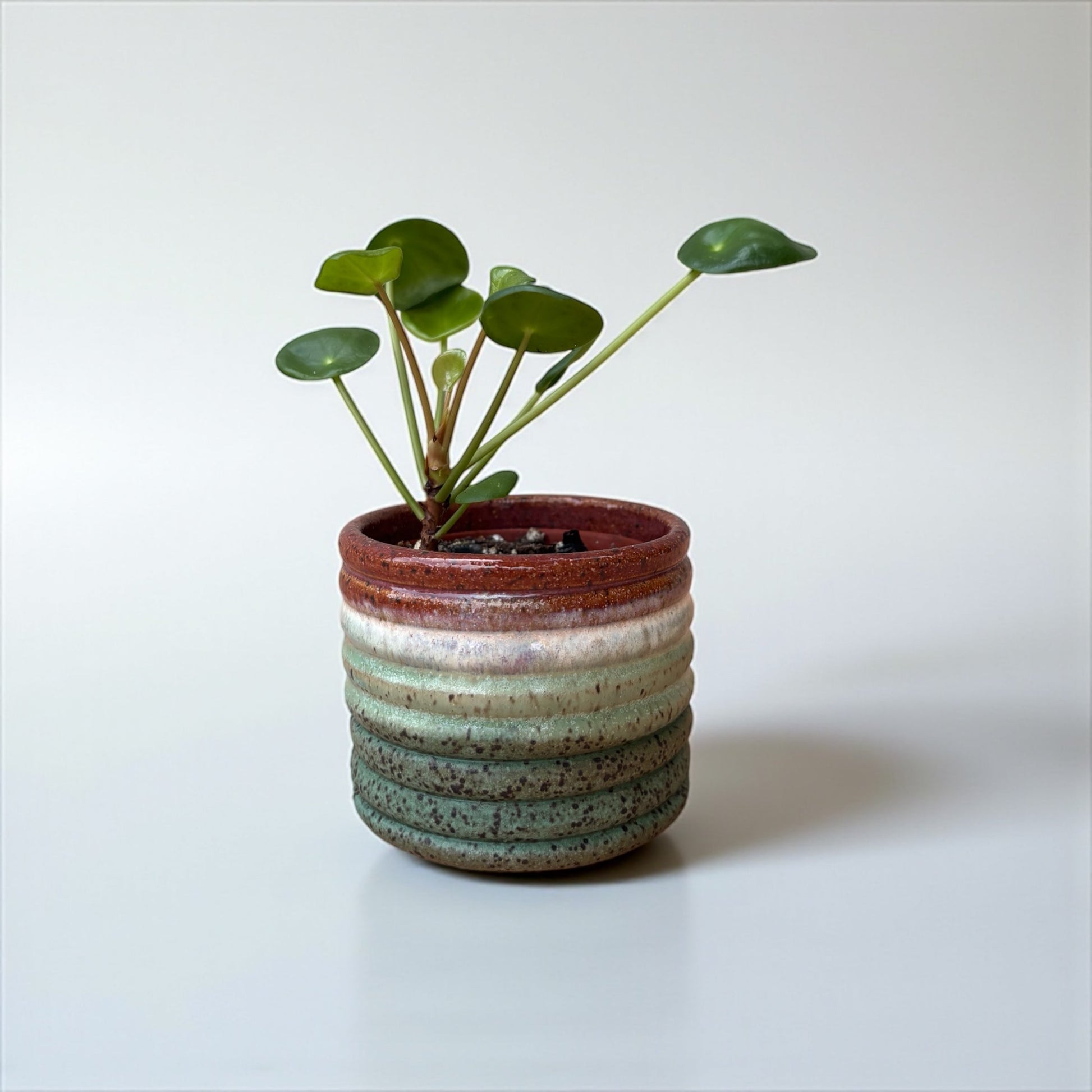 Mini Planters