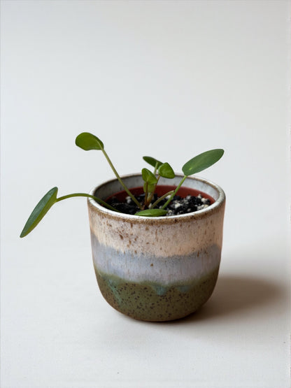 Mini Planters