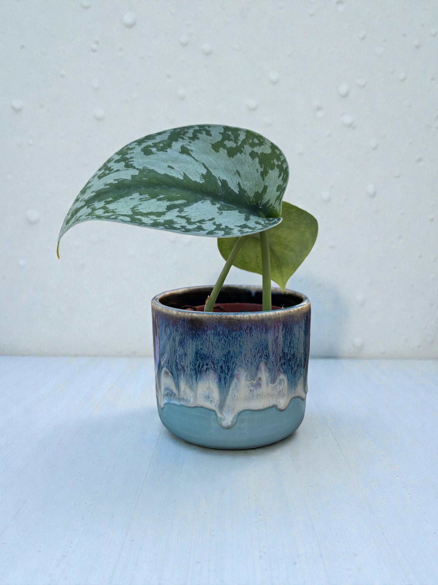 Mini Planters