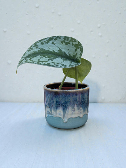 Mini Planters