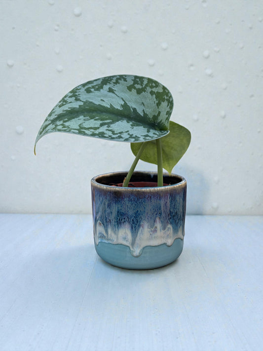 Mini Planters