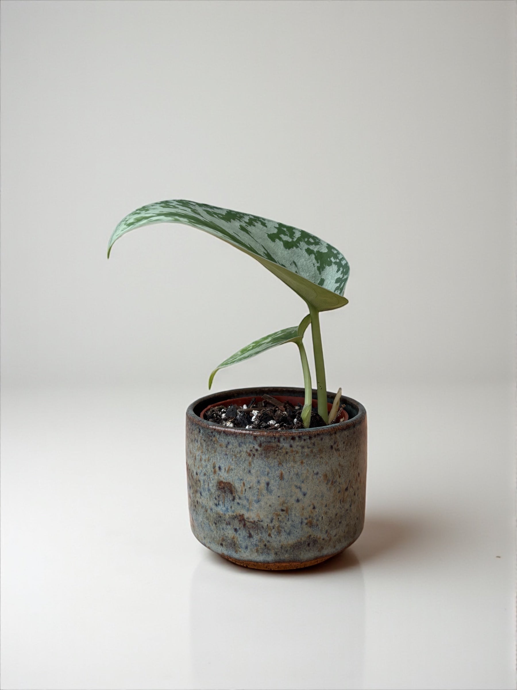 Mini Planters