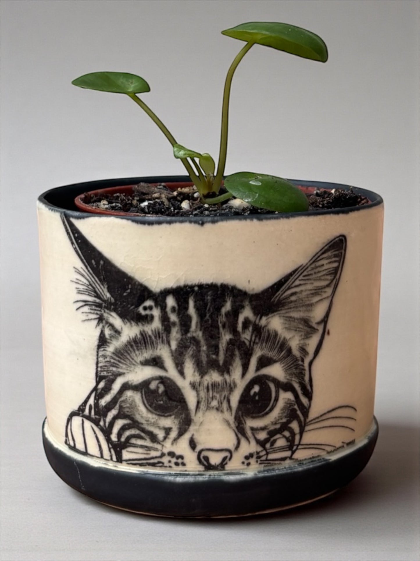 Mini Planters